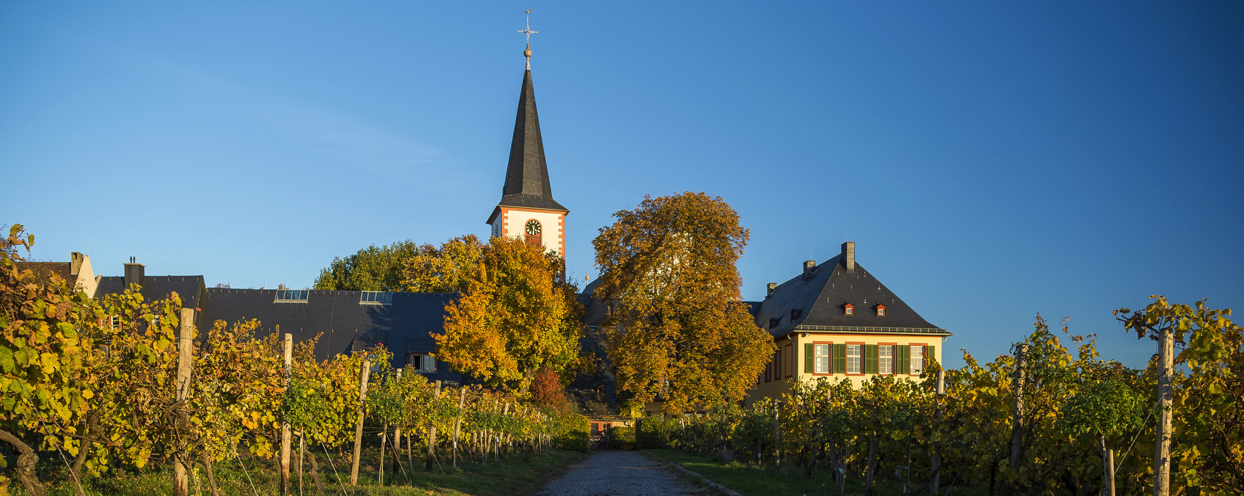 Ansicht Domänenhof und St. Peter und Paul