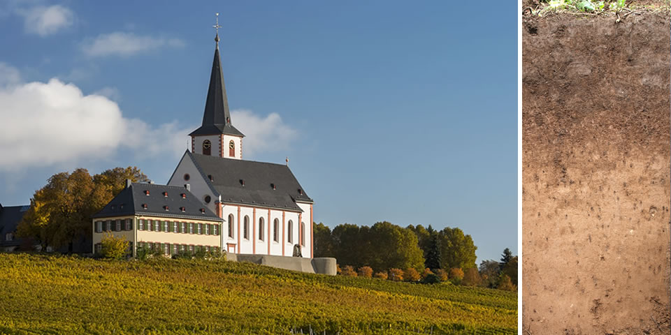 Ansicht Domänenhof und Domdechaney