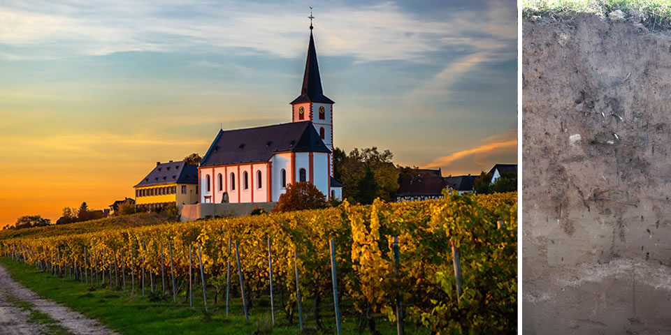 Ansicht Hochheimer Kirche und Erdprofil