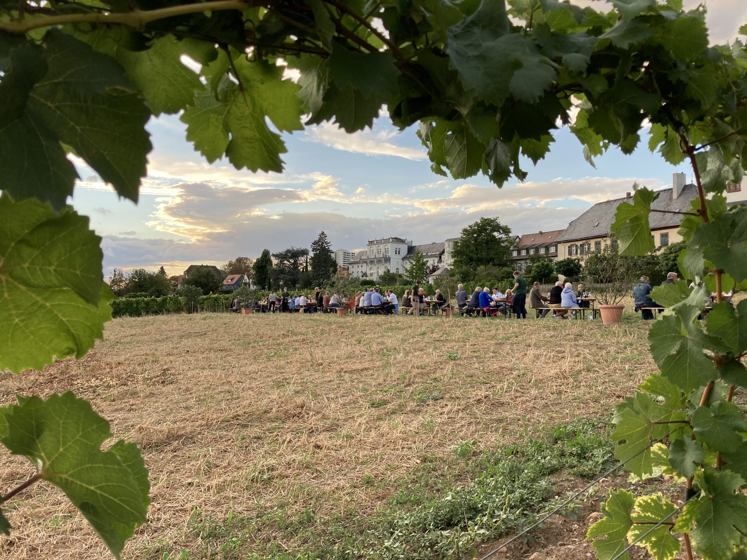 historischer Domänenhof