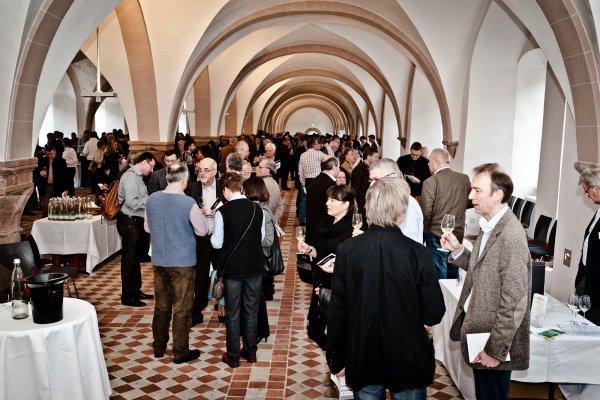 junge Rieslingpflanze